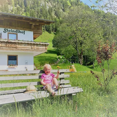 Steindlhof In
