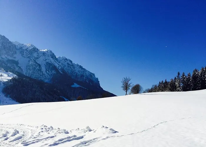 Penzion Steindlhof In 3*