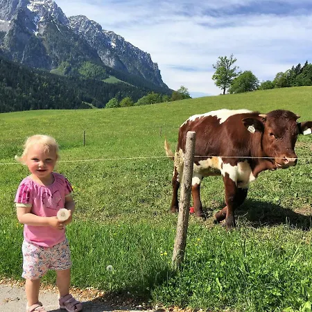 Konukevi Steindlhof In 3*