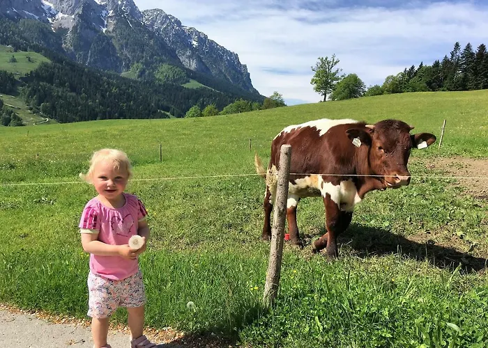 Gasthof Steindlhof In 3*